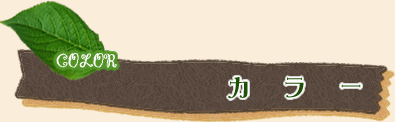 カラー